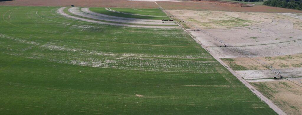 Aerial view of large circular crop fields with irrigation systems and areas of varying soil moisture and vegetation.